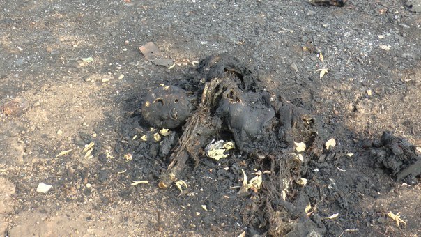 Сводки от ополчения Новороссии 03.09.2014