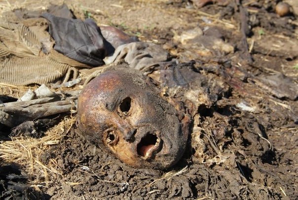 Сводки от ополчения Новороссии 03.09.2014