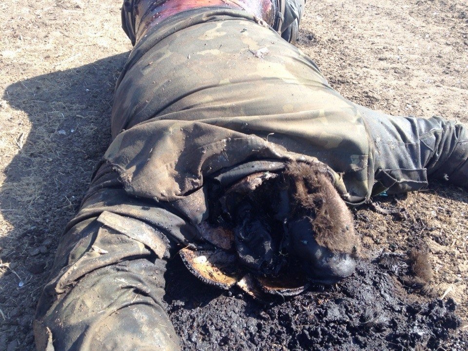 Войну необходимо прекратить, а военных преступников - судить Войну необходимо прекратить, а военных преступников - судить