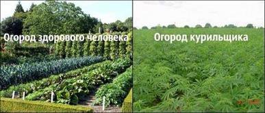 Забавы дьявола-конструктора Забавы дьявола-конструктора