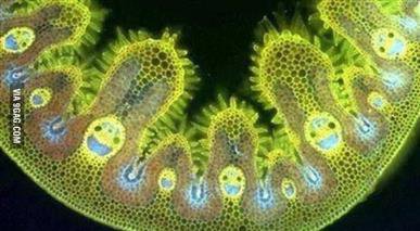 Забавы дьявола-конструктора Забавы дьявола-конструктора