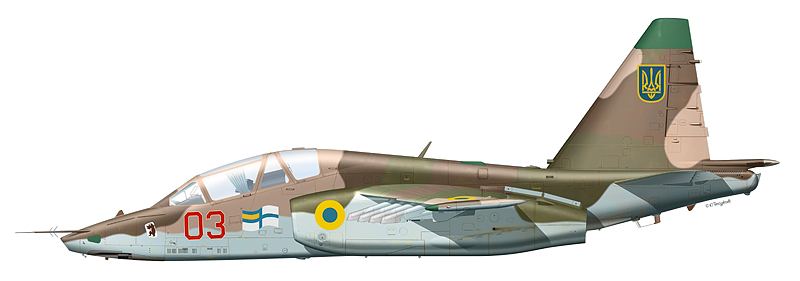 Потери Украины. Люди, техника и политика Потери Украины. Люди, техника и политика