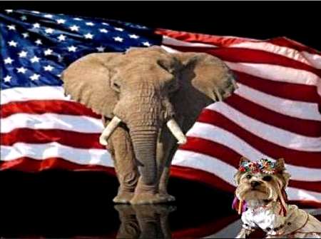 Моська лает на слона Моська лает на слона