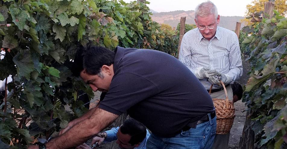 Грузинские подвиги главы шведского МИДа Грузинские подвиги главы шведского МИДа