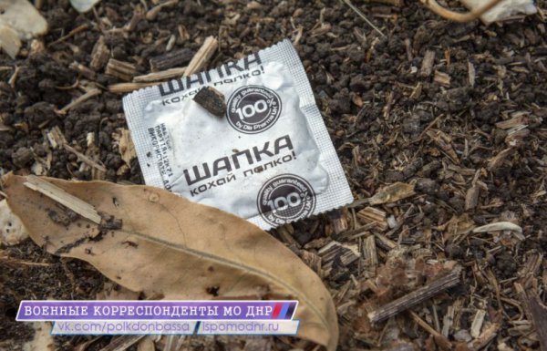 "Буторфанол" поможет победить "Буторфанол" поможет победить