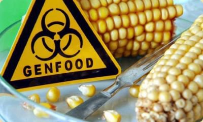 Продолжаем скакать!!! План англосаксов по "утилизации" населения Украины запущен. ГМО-аспекты украинской «революции» Продолжаем скакать!!! План англосаксов по "утилизации" населения Украины запущен. ГМО-аспекты украинской «революции»