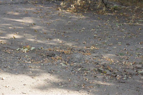 Разрыв снарядов на ул. Куйбышева. Донецк (Видео, фото) Разрыв снарядов на ул. Куйбышева. Донецк (Видео, фото)