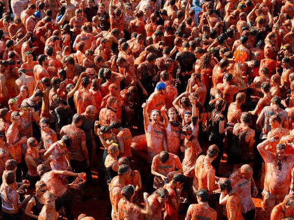 Голландцы устроили безотходные помидорные бои в знак протеста против продуктовых санкций РФ Голландцы устроили безотходные помидорные бои в знак протеста против продуктовых санкций РФ