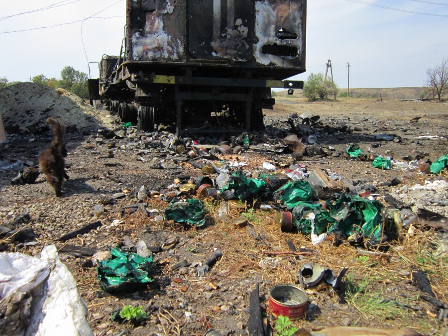 Рассказ ополченца "Мебельщика" про освобождение Миусинска Рассказ ополченца "Мебельщика" про освобождение Миусинска