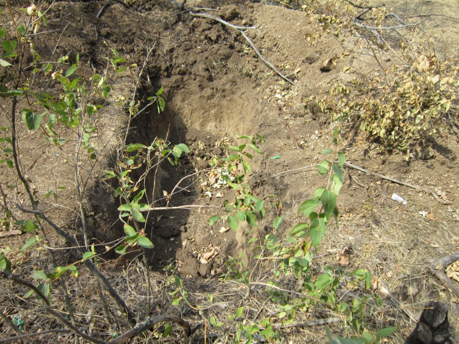 Рассказ ополченца "Мебельщика" про освобождение Миусинска Рассказ ополченца "Мебельщика" про освобождение Миусинска