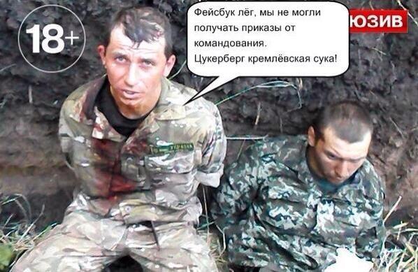 От Кибер Беркута От Кибер Беркута