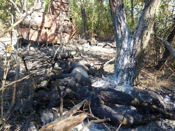 Сводки от ополчения Новороссии 19.09.2014 Сводки от ополчения Новороссии 19.09.2014