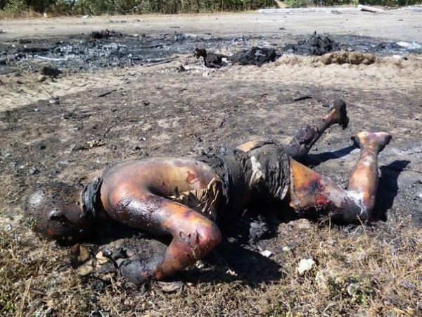 Видео от ополчения Новороссии 20-09-2014 Видео от ополчения Новороссии 20-09-2014