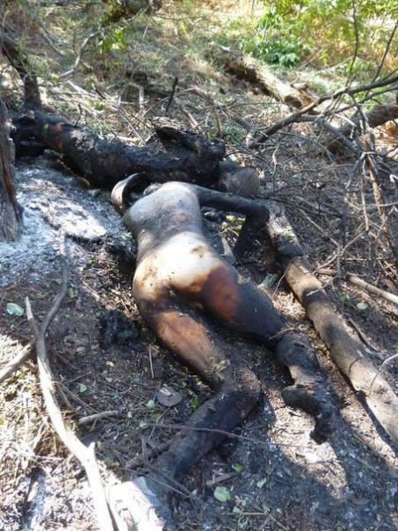 Видео от ополчения Новороссии 20-09-2014 Видео от ополчения Новороссии 20-09-2014