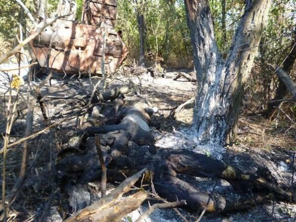 Видео от ополчения Новороссии 20-09-2014 Видео от ополчения Новороссии 20-09-2014