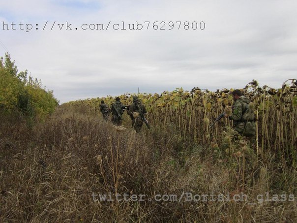Фоторепортаж из н. п. Никишино от "Борисыча" 24-09-2014 Фоторепортаж из н. п. Никишино от "Борисыча" 24-09-2014