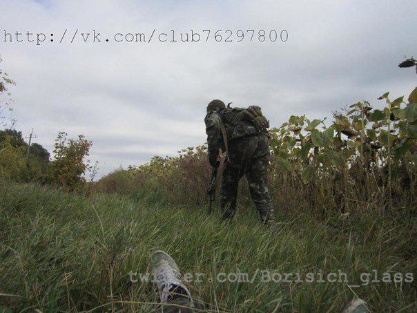 Фоторепортаж из н. п. Никишино от "Борисыча" 24-09-2014 Фоторепортаж из н. п. Никишино от "Борисыча" 24-09-2014