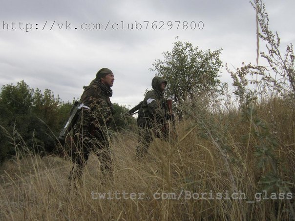 Фоторепортаж из н. п. Никишино от "Борисыча" 24-09-2014 Фоторепортаж из н. п. Никишино от "Борисыча" 24-09-2014