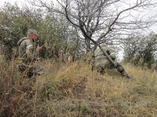 Фоторепортаж из н. п. Никишино от "Борисыча" 24-09-2014 Фоторепортаж из н. п. Никишино от "Борисыча" 24-09-2014