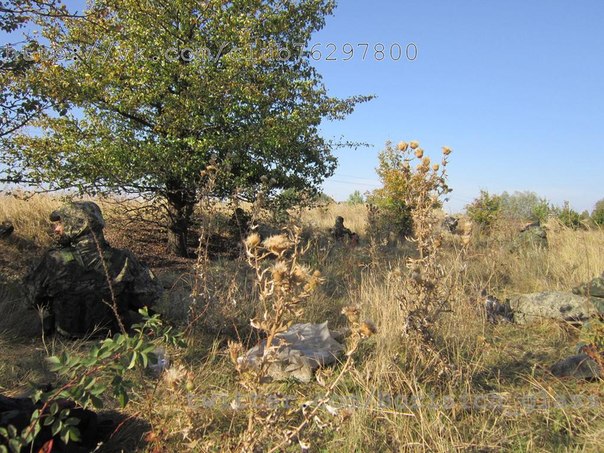 Фоторепортаж из н. п. Никишино от "Борисыча" 24-09-2014 Фоторепортаж из н. п. Никишино от "Борисыча" 24-09-2014