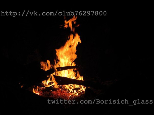 Фоторепортаж из н. п. Никишино от "Борисыча" 24-09-2014 Фоторепортаж из н. п. Никишино от "Борисыча" 24-09-2014