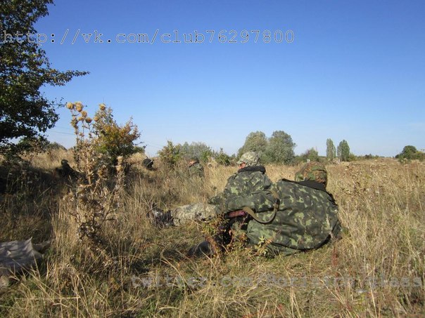 Фоторепортаж из н. п. Никишино от "Борисыча" 24-09-2014 Фоторепортаж из н. п. Никишино от "Борисыча" 24-09-2014