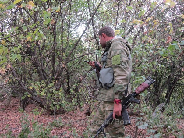 Фоторепортаж из н. п. Никишино от "Борисыча" 24-09-2014 Фоторепортаж из н. п. Никишино от "Борисыча" 24-09-2014