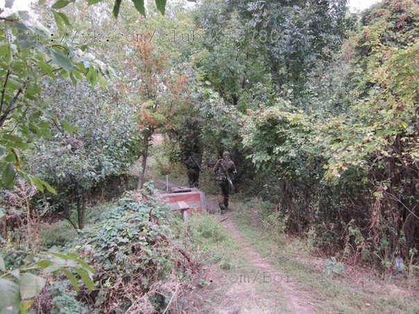 Фоторепортаж из н. п. Никишино от "Борисыча" 24-09-2014 Фоторепортаж из н. п. Никишино от "Борисыча" 24-09-2014