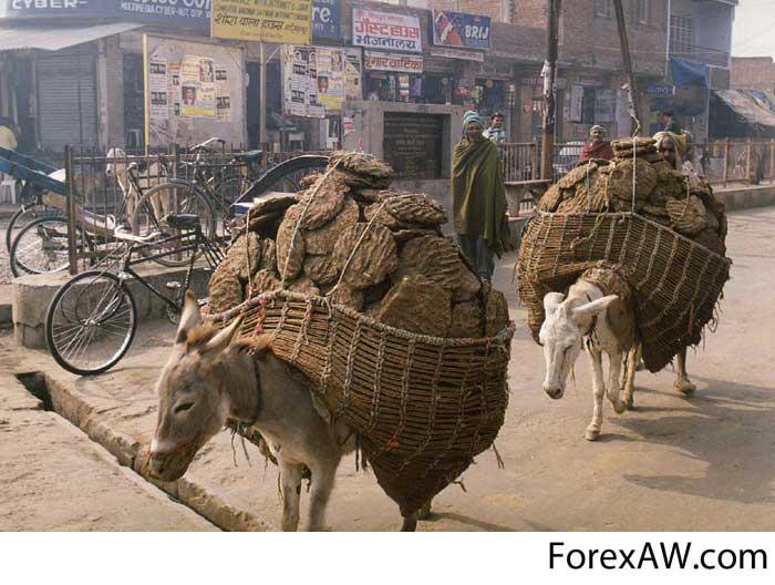 Швайка жжёт. Швайка жжёт.