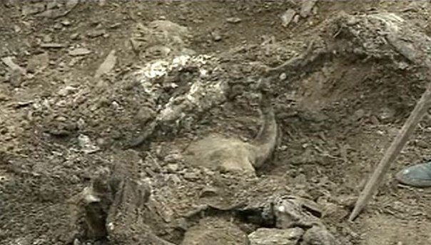 Сводки от ополчения Новороссии 28.09.2014 Сводки от ополчения Новороссии 28.09.2014