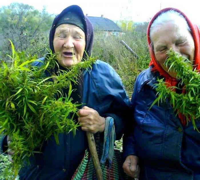 Укронаци предупредили Францию, что Россия может выкрасть «Мистраль» и напасть на Японию