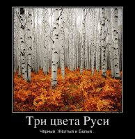 Скрепы России. Национализм, интернационализм, или Православие?