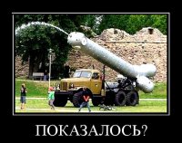 Германия обнародовала свои данные о гибели малайзийского "Боинга" под Донецком