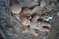 Звериные нравы нацгвардии