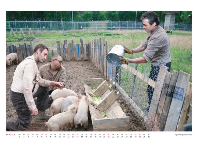 Политический календарь Андрея Будаева   2014