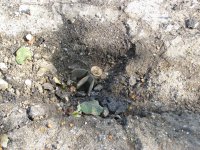 г. Донецк, Киевский район, 15 участок после обстрела 25.09.14