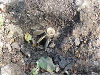 г. Донецк, Киевский район, 15 участок после обстрела 25.09.14