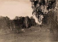 Останкино. Проклятый район Москвы