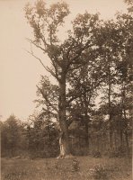 Останкино. Проклятый район Москвы