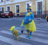 Очередной говновысер от ИС: Российско-террористические войска продолжают нарушать договоренности о прекращении огня