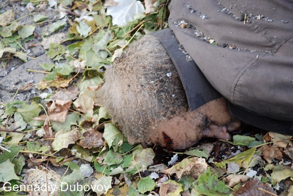 Сводки от ополчения Новороссии 02.10.2014