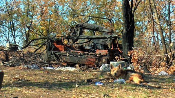 Сводки от ополчения Новороссии 02.10.2014