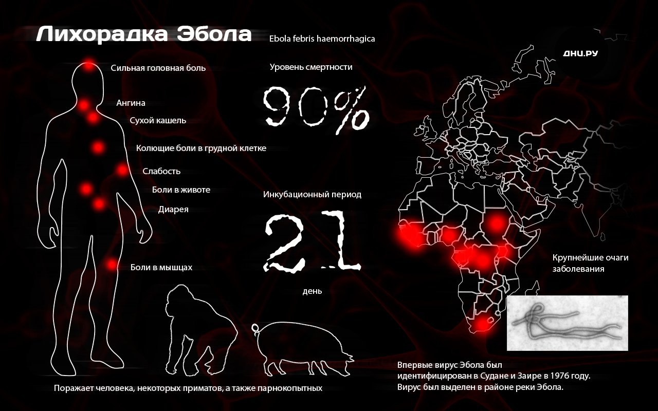 Эбола крайне заразна при попадании на кожу Эбола крайне заразна при попадании на кожу