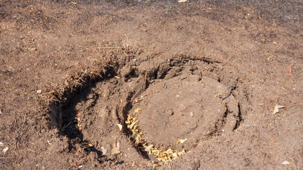 Сводки от ополчения Новороссии 14.10.2014 Сводки от ополчения Новороссии 14.10.2014