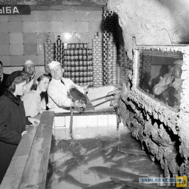 Москва 1947 года глазами американского журналиста Москва 1947 года глазами американского журналиста