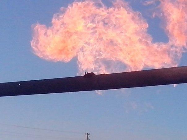 Сводки от ополчения Новороссии 15.10.2014 Сводки от ополчения Новороссии 15.10.2014