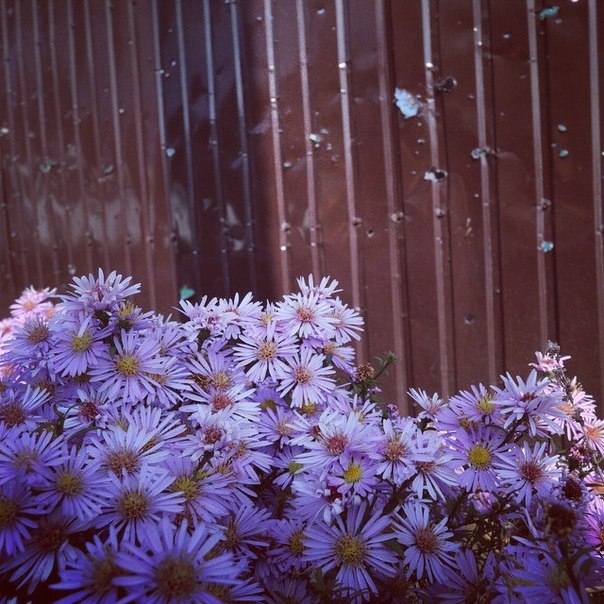 Сводки от ополчения Новороссии 17.10.2014 Сводки от ополчения Новороссии 17.10.2014