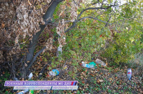 Обнаружена стоянка «древних укров» Обнаружена стоянка «древних укров»