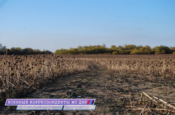 Обнаружена стоянка «древних укров» Обнаружена стоянка «древних укров»