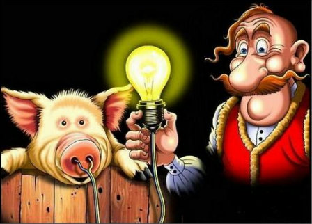 Кордон для защиты свиней Кордон для защиты свиней